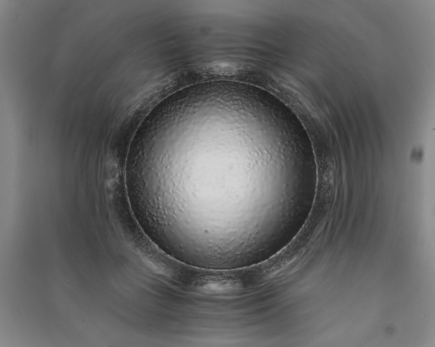 X0000091100555200708201523