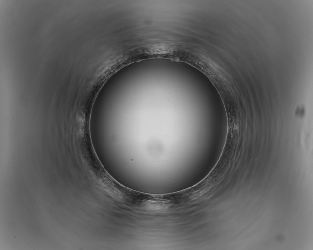 X0000091100556200708201523