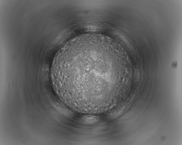 X0000091100557200708201523