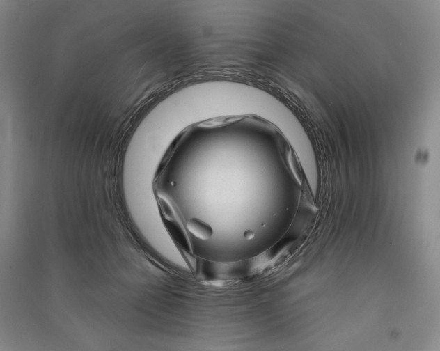 X0000091100558200708201523