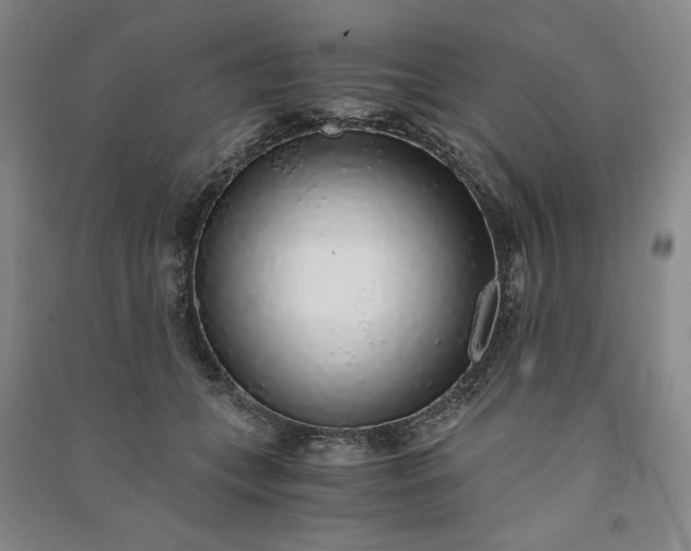 X0000091100559200708201523