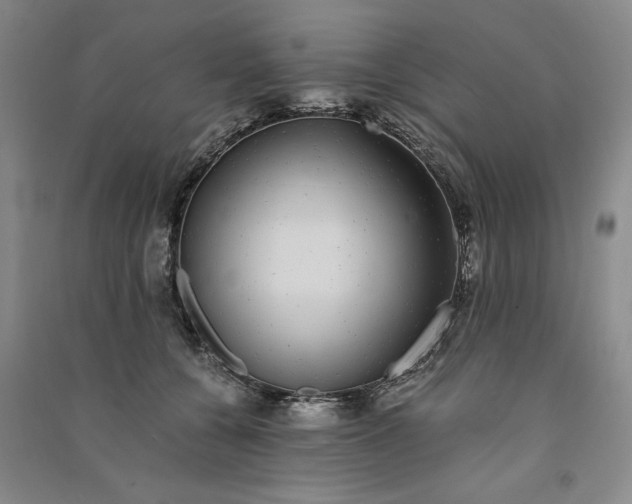 X0000091100560200708201523