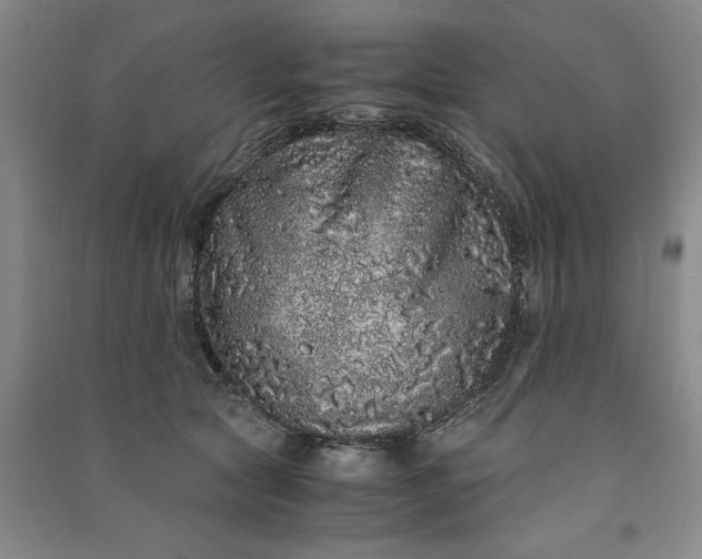 X0000091100561200708201523