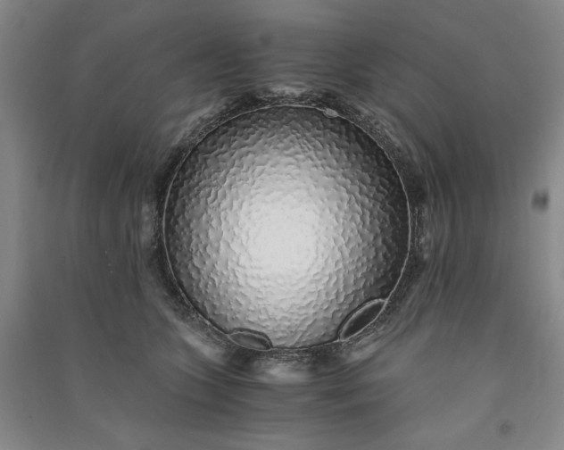 X0000091100563200708201523