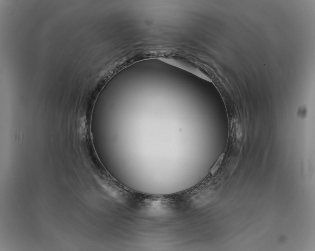 X0000091100564200708201523