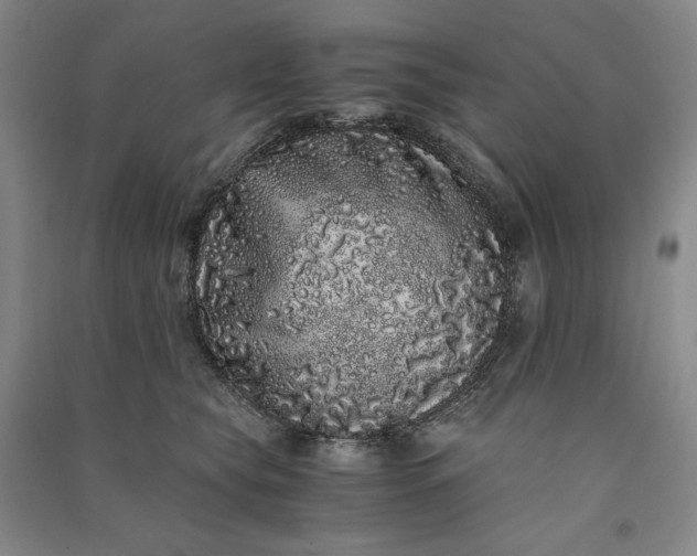 X0000091100565200708201523