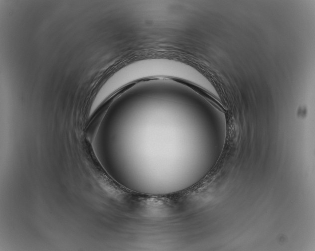 X0000091100566200708201523