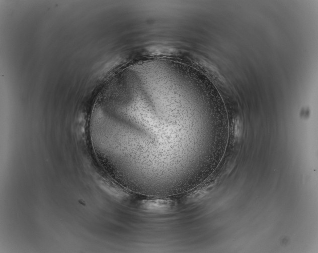 X0000091100567200708201523