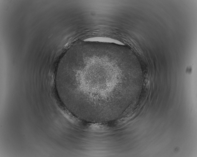 X0000091100568200708201523