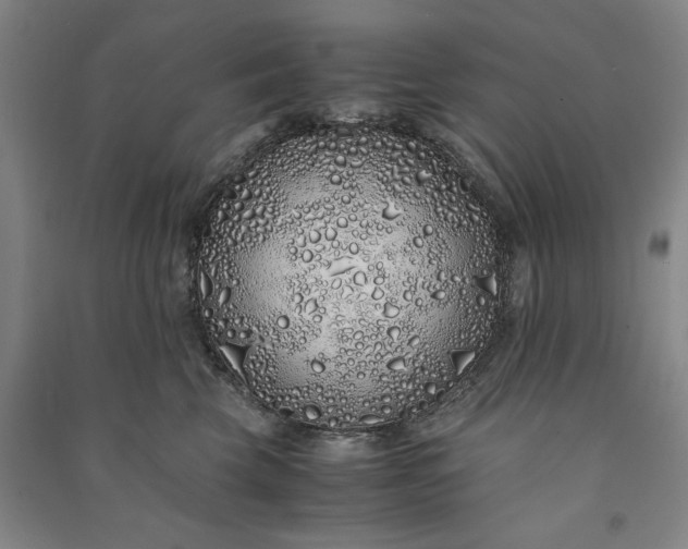 X0000091100569200708201523