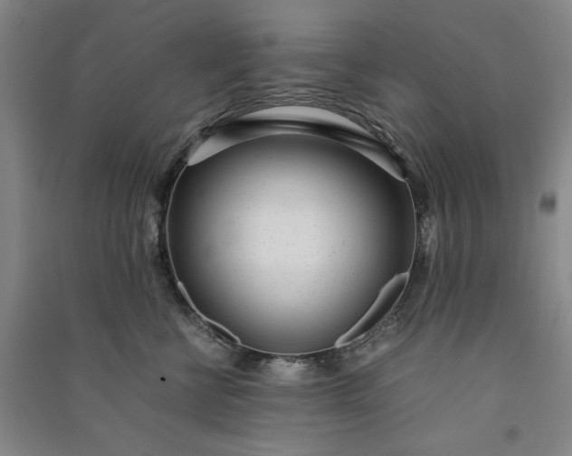 X0000091100570200708201523