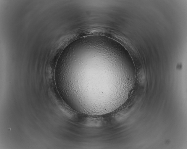 X0000091100571200708201523