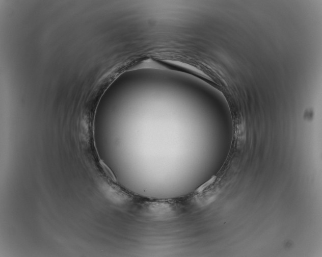 X0000091100572200708201523