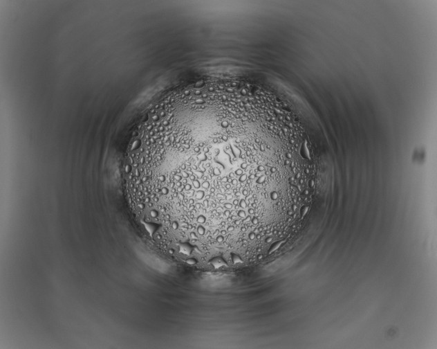 X0000091100573200708201523