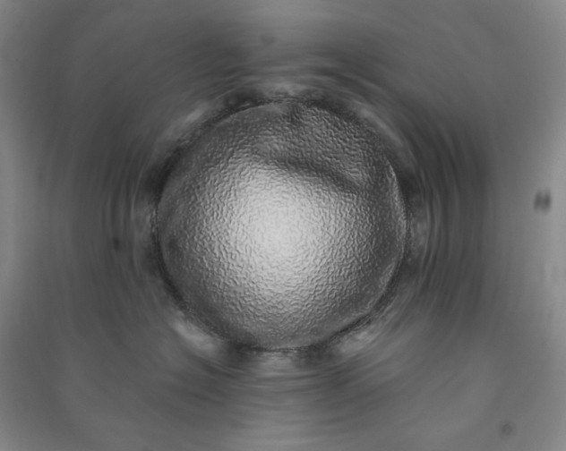 X0000091100574200708201524