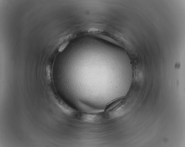 X0000091100575200708201524