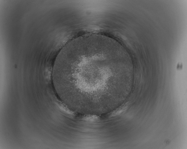 X0000091100576200708201524