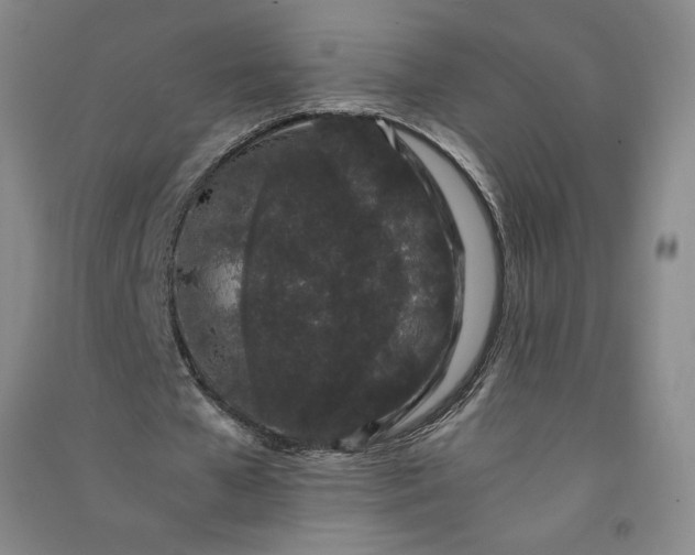 X0000091100577200708201523