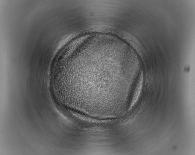 X0000091100578200708201523