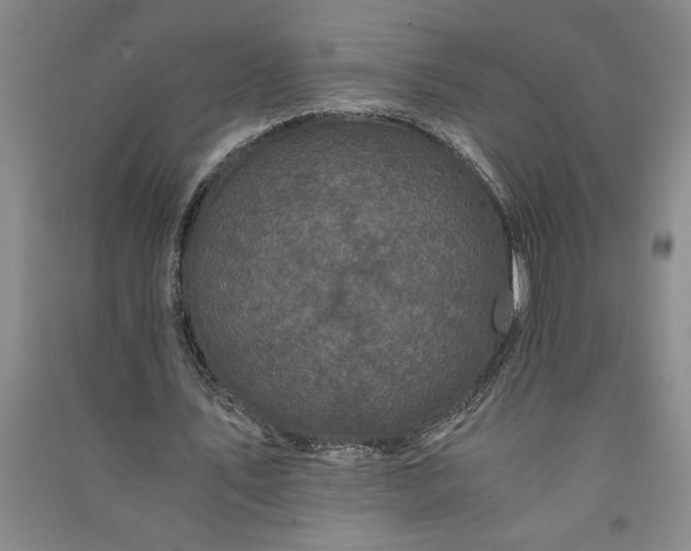 X0000091100579200708201523