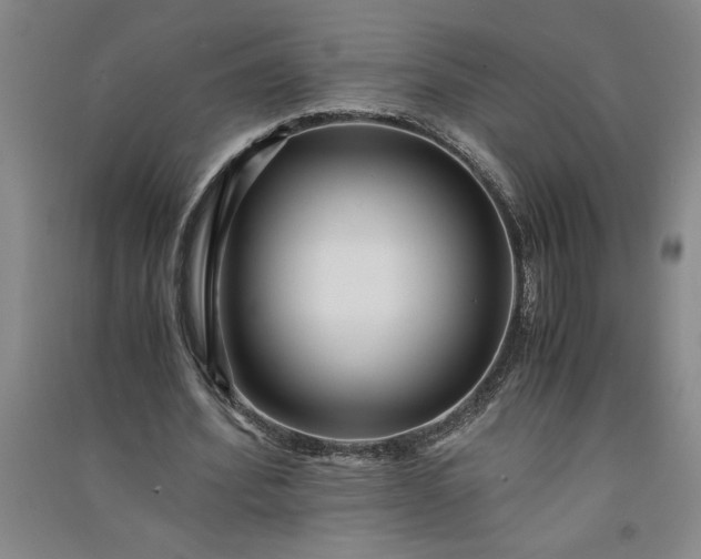 X0000091100580200708201523