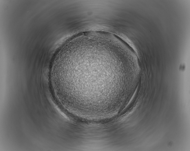 X0000091100581200708201523