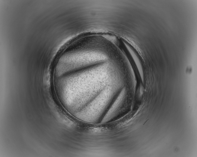 X0000091100584200708201523