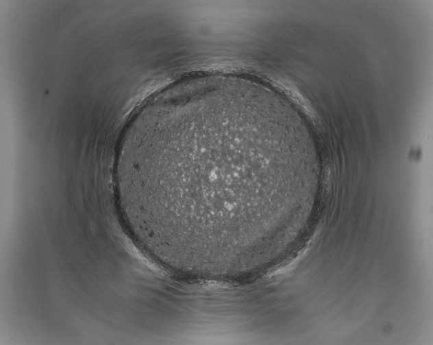 X0000091100585200708201522