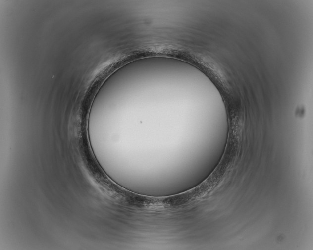 X0000091100587200708201522