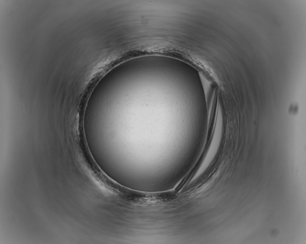 X0000091100589200708201522