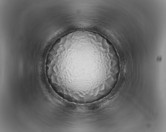 X0000091100591200708201522