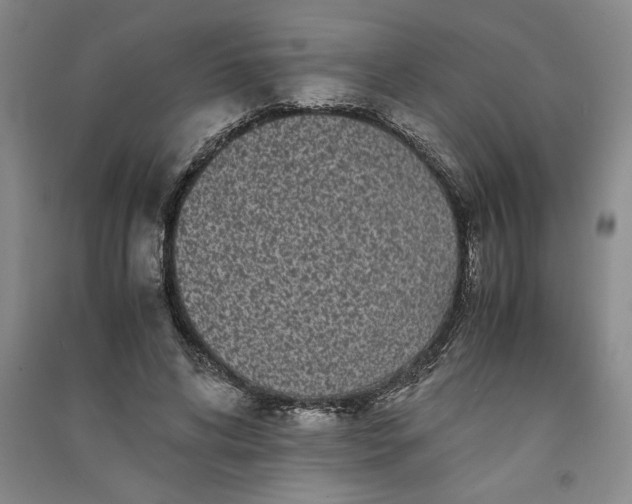 X0000091100592200708201522