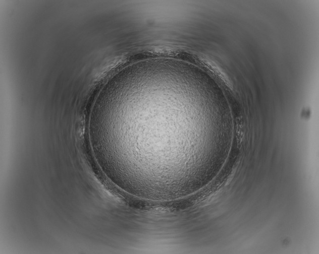 X0000091100593200708201522