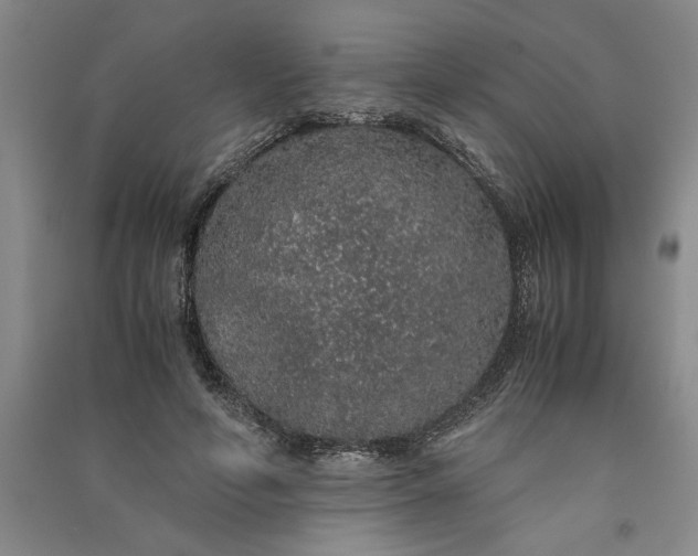 X0000091100594200708201522