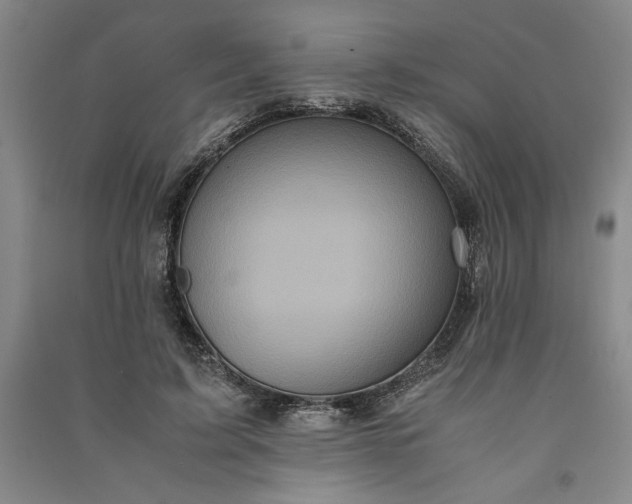 X0000091100595200708201522