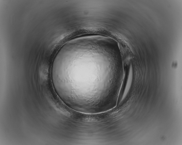 X0000091100596200708201522