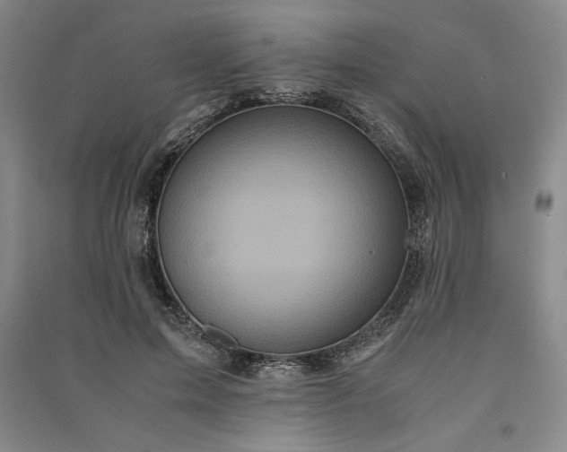 X0000091100599200708201522