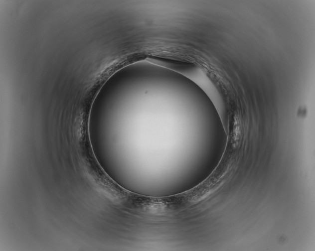 X0000091100600200708201522