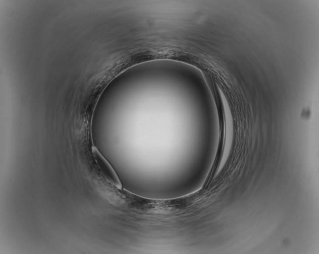 X0000091100601200708201522