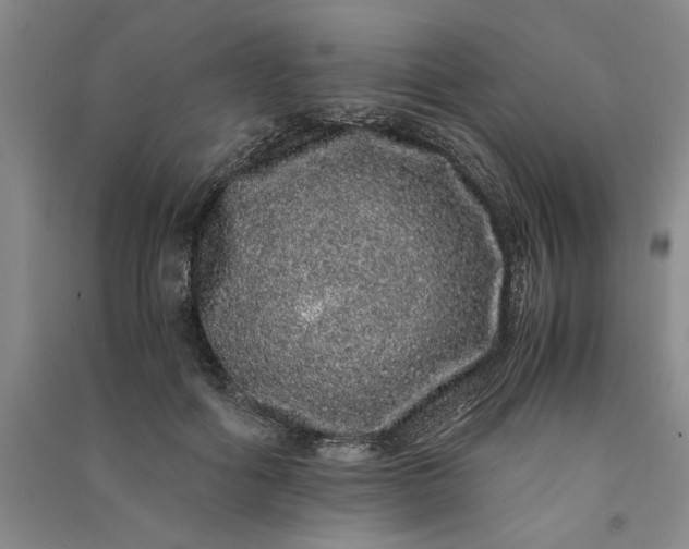 X0000091100602200708201522