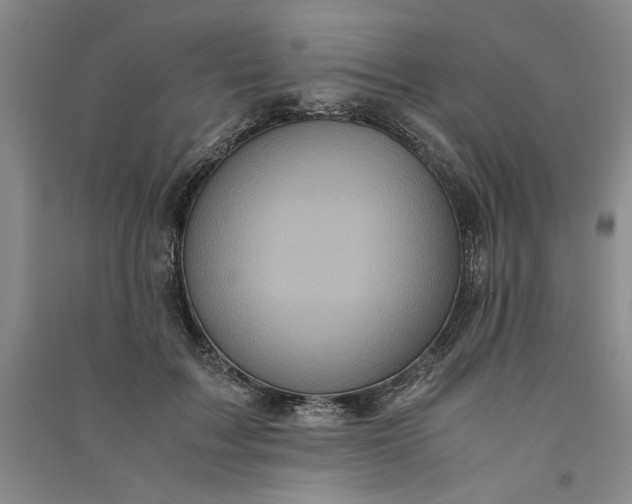 X0000091100603200708201522