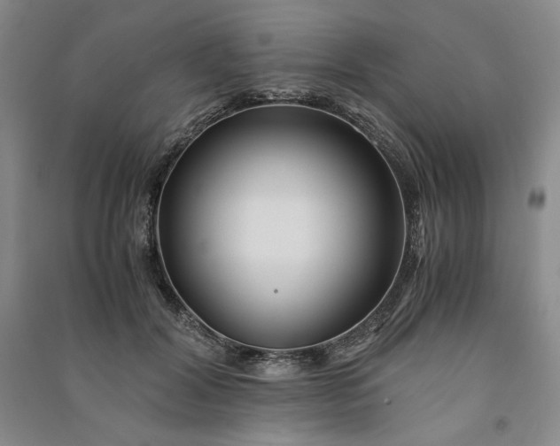 X0000091100604200708201522