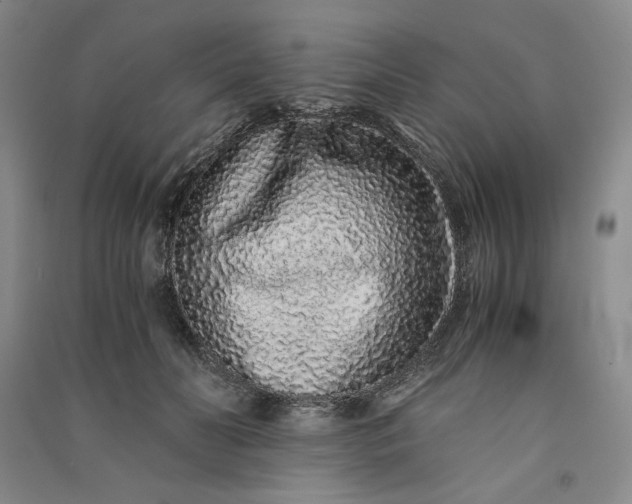 X0000091100606200708201522