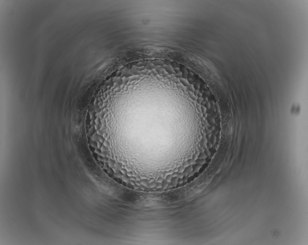 X0000091100607200708201522