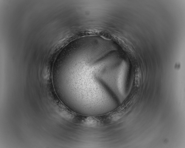 X0000091100608200708201522