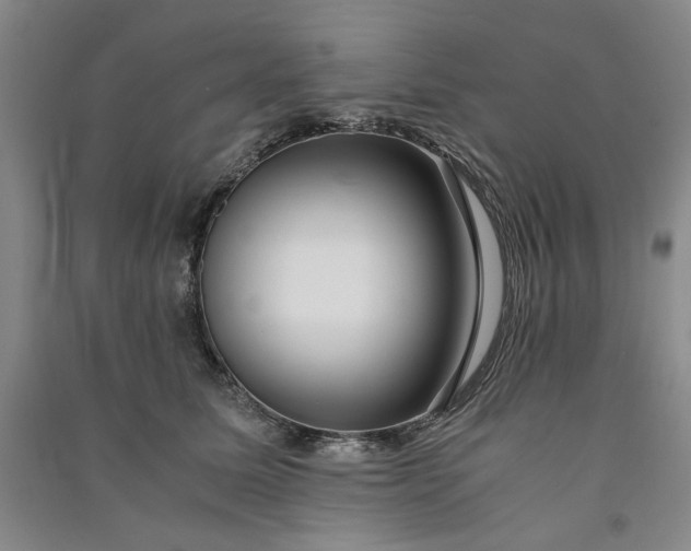 X0000091100611200708201522