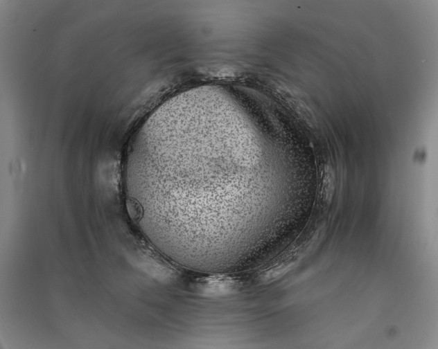 X0000091100612200708201522