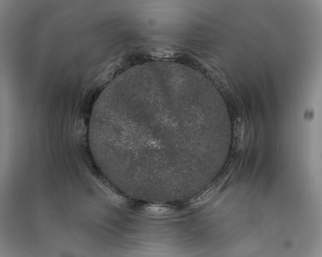 X0000091100614200708201522