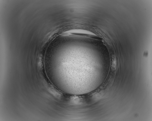 X0000091100616200708201522