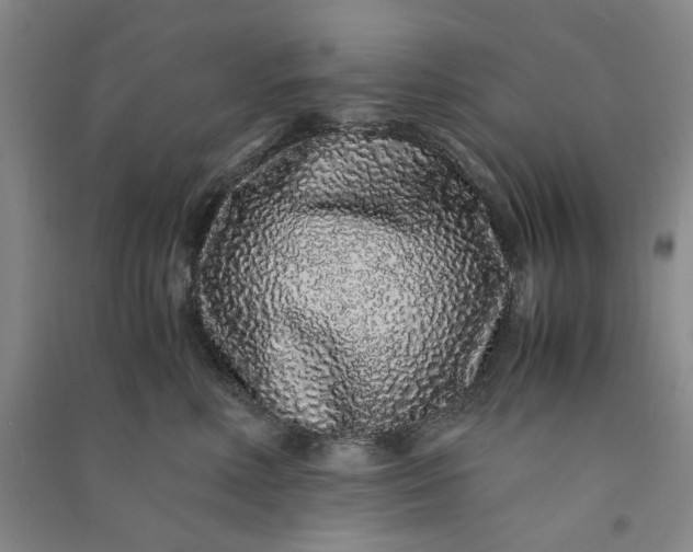 X0000091100618200708201522